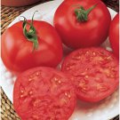 Fresh 50 Seeds Red October Tomato Hybrid Vegetable Planting Tomatoe Grow Garden