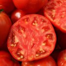 Fresh 50 Seeds Porterhoe Tomato Hybrid Vegetable Planting Tomatoe Garden