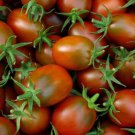 Fresh 50 Seeds Plum Regal Tomato Hybrid Vegetable Planting Tomatoe Garden
