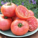 Fresh 50 Seeds Pink Pounder Tomato Hybrid Vegetable Planting Tomatoe Garden