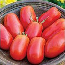 Fresh 50 Seeds Patio Paste Tomato Hybrid Vegetable Planting Tomatoe Garden