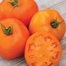 Fresh 50 Seeds Orange Wellington Tomato Hybrid Vegetable Planting Tomatoe Garden
