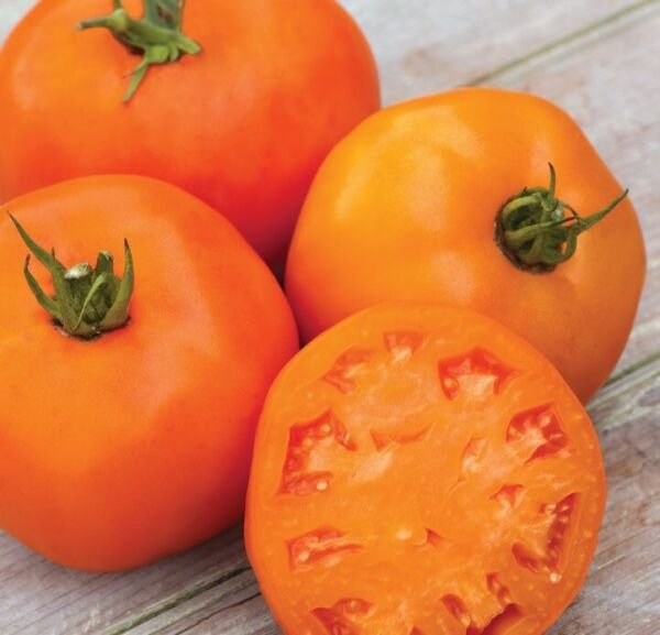 Fresh 50 Seeds Orange Slice Tomato Hybrid Vegetable Planting Tomatoe Garden