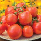 Fresh 50 Seeds Oh Happy Day Tomato Hybrid Vegetable Planting Tomatoe Garden