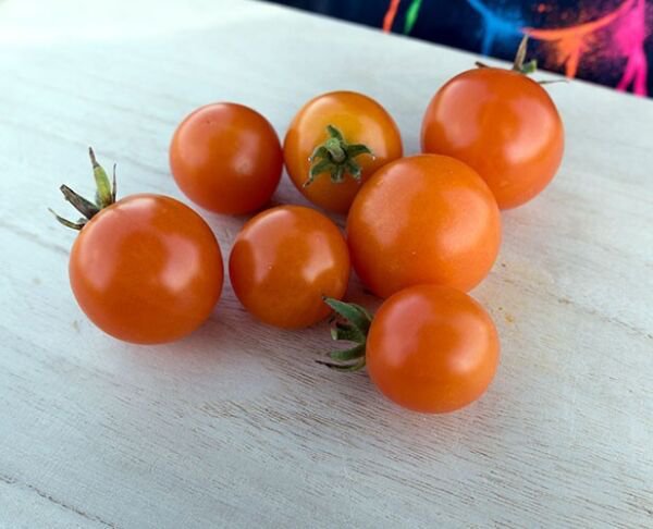 Fresh 50 Seeds Monarch Tomato Hybrid Vegetable Planting Tomatoe Garden