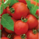 Fresh 50 Seeds Mountain Magic Tomato Hybrid Vegetable Planting Tomatoe Garden