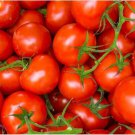 Fresh 50 Seeds Maglia Rosa Tomato Hybrid Vegetable Planting Tomatoe Garden