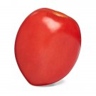 Fresh 50 Seeds Jetsonic Tomato Hybrid Vegetable Planting Tomatoe Garden
