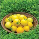 Fresh 50 Seeds Honey Delight Tomato Juicy Vegetable Easy Growing Tomatoe Garden
