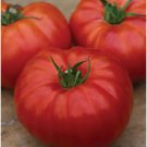 Fresh 50 Seeds Heritage Tomato Juicy Vegetable Easy Growing Tomatoe Garden