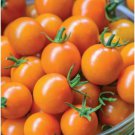 Fresh 50 Seeds Honeycomb Tomato Juicy Vegetable Easy Growing Tomatoe Garden