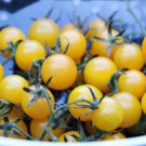 Fresh 50 Seeds Golden San Marzano Tomato Juicy Vegetable Planting Tomatoe Garden