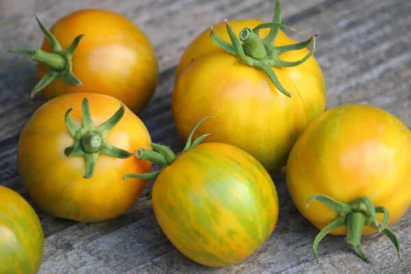Fresh 50 Seeds Fried Green Tomato Juicy Vegetable Planting Tomatoe Garden