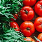 Fresh 50 Seeds Fantastic Tomato Juicy Vegetable Planting Tomatoe Garden