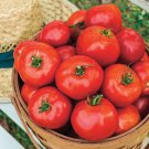 Fresh 50 Seeds Early Harvest Tomato Juicy Vegetable Planting Tomatoe Garden