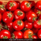 Fresh 50 Seeds Cupid Tomato Juicy Vegetable Planting Tomatoe Garden