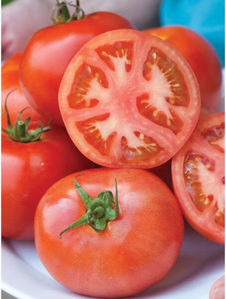 Fresh 50 Seeds Early Pick Tomato Juicy Vegetable Planting Tomatoe Garden