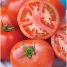 Fresh 50 Seeds Early Pick Tomato Juicy Vegetable Planting Tomatoe Garden