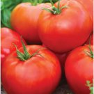 Fresh 50 Seeds Big Daddy Tomato Juicy Vegetable Planting Tomato Food Garden