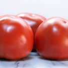 Fresh 50 Seeds Bella Rosa Tomato Juicy Vegetable Planting Tomatoe Garden