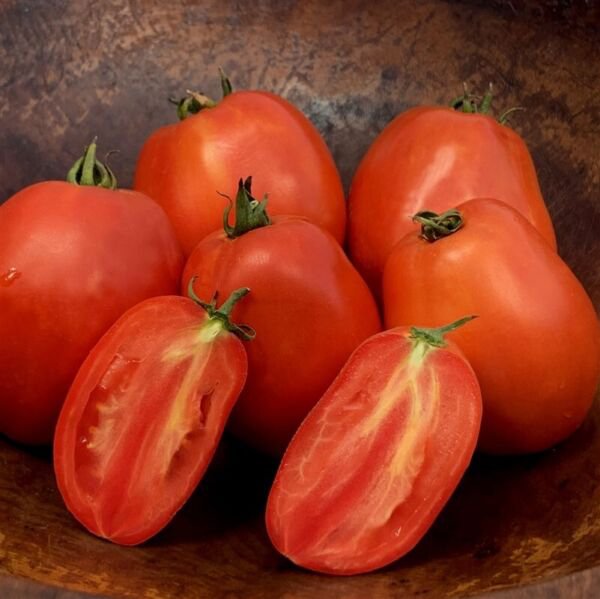 Fresh 50 Seeds Window Box Roma Tomato Hybrid Vegetable Planting Tomatoe Garden
