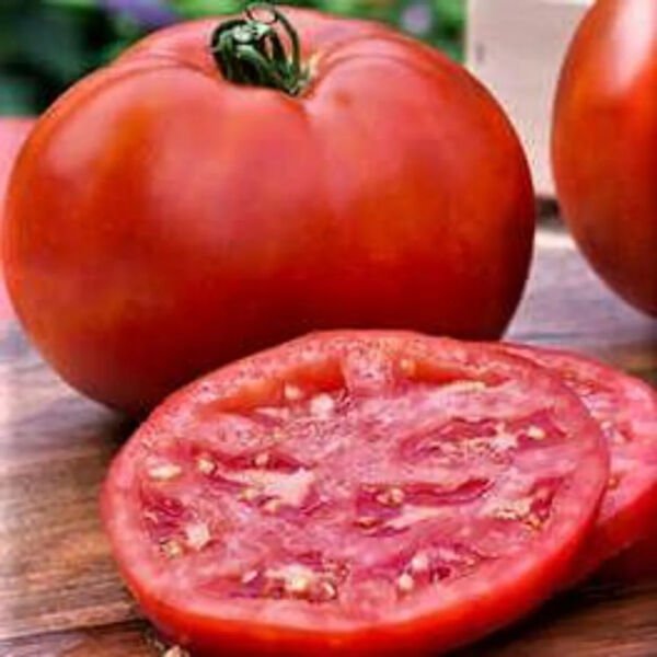 Fresh 50 Seeds Supersonic Tomato Hybrid Vegetable Planting Tomatoe Garden