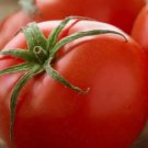 Fresh 50 Seeds Siberian Tomato Hybrid Vegetable Planting Tomatoe Garden