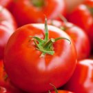 Fresh 50 Seeds Red Defender Tomato Hybrid Vegetable Planting Tomatoe Garden
