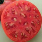 Fresh 50 Seeds Hky Cherry Red Tomato Hybrid Vegetable Planting Tomatoe Garden