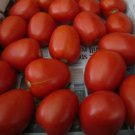 Fresh 50 Seeds Health Kick Tomato Hybrid Vegetable Planting Tomatoe Garden