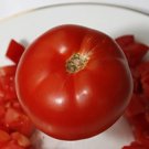 Fresh 50 Seeds Fantastic Tomato Hybrid Vegetable Planting Tomatoe Garden