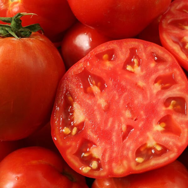 Fresh 50 Seeds Early Cascade Tomato Hybrid Vegetable Planting Tomatoe Garden