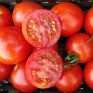 Fresh 50 Seeds Cupid Tomato Hybrid Vegetable Planting Tomatoe Garden