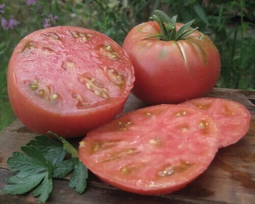 Fresh 50 Seeds Beefmaster Tomato Hybrid Vegetable Planting Tomatoes Garden