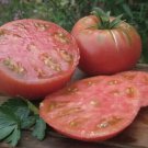 Fresh 50 Seeds Beefmaster Tomato Hybrid Vegetable Planting Tomatoes Garden
