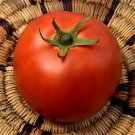 Fresh 50 Seeds Baby Cakes Tomato Hybrid Vegetable Planting Tomatoes Garden