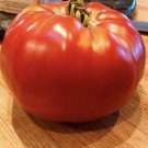 Fresh 50 Seeds Abe Lincoln Tomato Vegetable Planting Tomatoes Garden