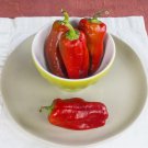 Fresh 25 Seeds Dolmalik Chili Peppers Easy To Grow Vegetable Edible Garden