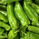 Fresh 25 Seeds Cubanelle Peppers Easy To Grow Vegetable Edible Garden