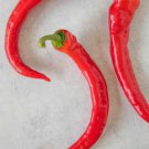 Fresh 25 Seeds Cowhorn Chili Peppers Easy To Grow Vegetable Edible Garden