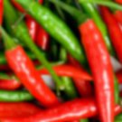 Fresh 25 Seeds Coronado Chili Peppers Easy To Grow Vegetable Edible Garden