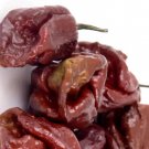 Fresh 25 Seeds Chocolate Bhutlah Peppers Easy To Grow Vegetable Edible Garden