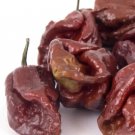 Fresh 25 Seeds Chocolate 7-Pot Chili Peppers Easy To Grow Vegetable Edible Garden