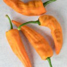 Fresh 25 Seeds Chilhuacle Amarillo Chili Peppers Easy To Grow Vegetable Edible Garden