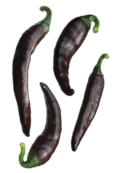 Fresh 25 Seeds Chilaca Peppers Easy To Grow Vegetable Edible Garden
