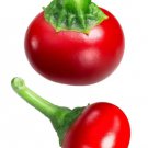Fresh 25 Seeds Cherry Peppers Easy To Grow Vegetable Edible Garden