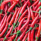 Fresh 25 Seeds Cayenne Peppers Easy To Grow Vegetable Edible Garden