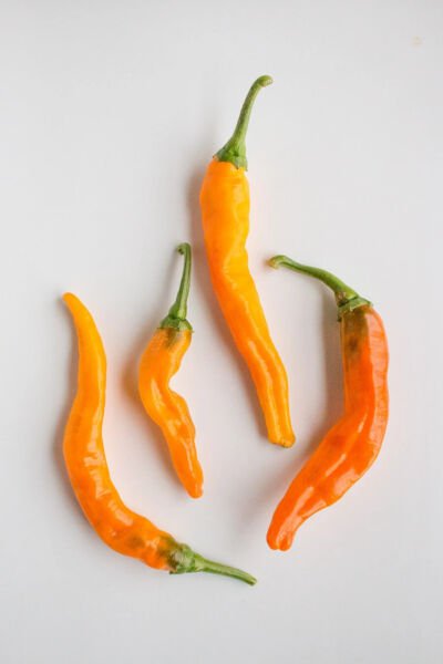 Fresh 25 Seeds Cayenne Buist'S Chili Peppers Easy To Grow Vegetable Edible Garden