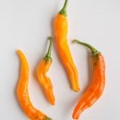 Fresh 25 Seeds Cayenne Buist'S Chili Peppers Easy To Grow Vegetable Edible Garden