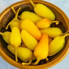 Fresh 25 Seeds Cascabella Peppers Easy To Grow Vegetable Edible Garden